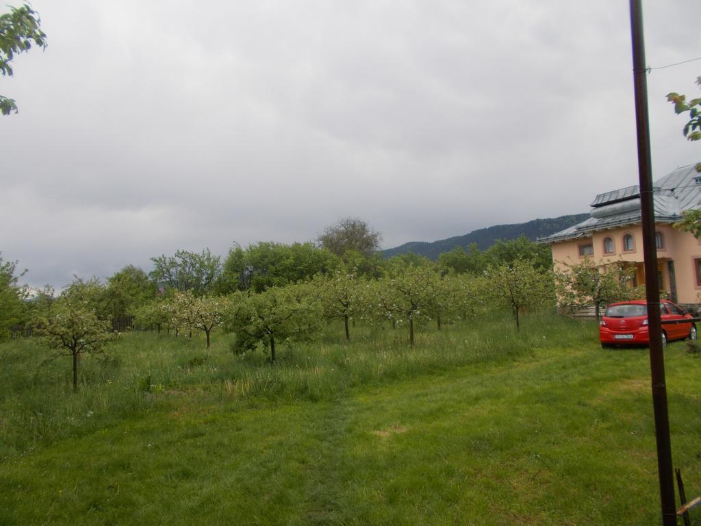 Casa Ilea -Agapia Villa Exterior photo